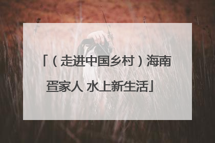 （走进中国乡村）海南疍家人 水上新生活
