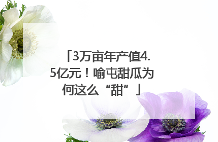 3万亩年产值4.5亿元！喻屯甜瓜为何这么“甜”