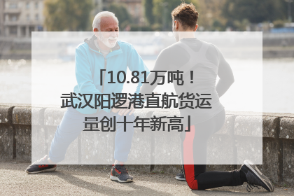 10.81万吨！武汉阳逻港直航货运量创十年新高