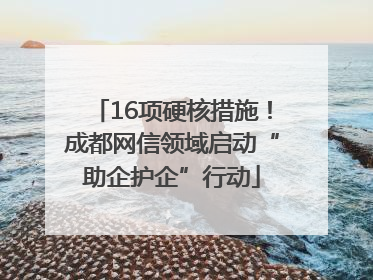 16项硬核措施！成都网信领域启动“助企护企”行动