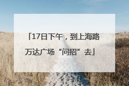 17日下午，到上海路万达广场“问招”去