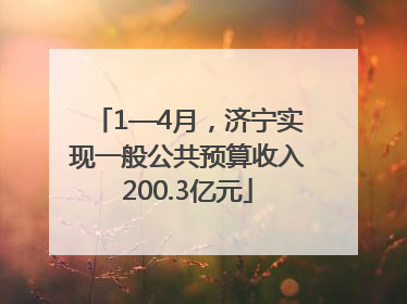 1—4月，济宁实现一般公共预算收入200.3亿元