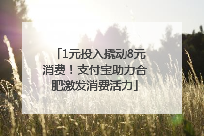 1元投入撬动8元消费！支付宝助力合肥激发消费活力