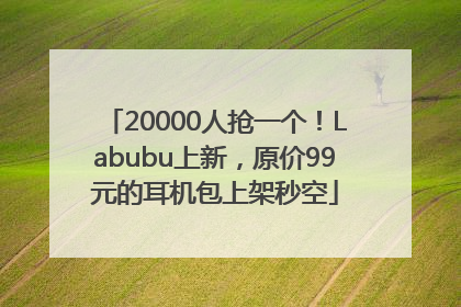 20000人抢一个！Labubu上新，原价99元的耳机包上架秒空