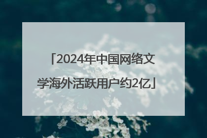 2024年中国网络文学海外活跃用户约2亿