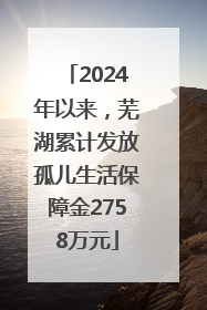 2024年以来，芜湖累计发放孤儿生活保障金2758万元