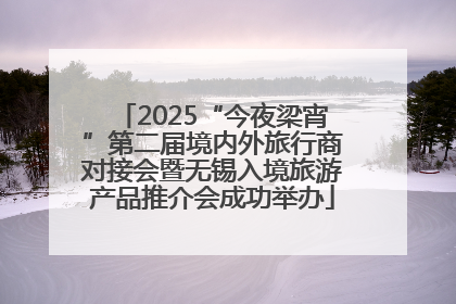 2025“今夜梁宵”第二届境内外旅行商对接会暨无锡入境旅游产品推介会成功举办