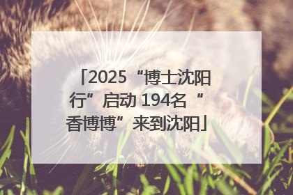 2025“博士沈阳行”启动 194名“香博博”来到沈阳