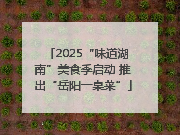 2025“味道湖南”美食季启动 推出“岳阳一桌菜”
