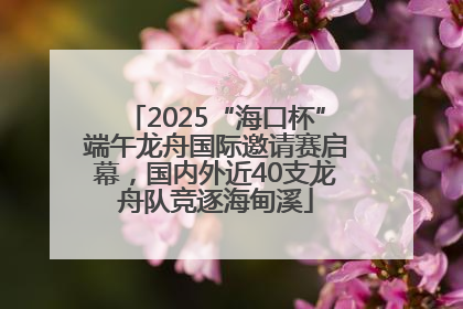 2025“海口杯”端午龙舟国际邀请赛启幕，国内外近40支龙舟队竞逐海甸溪
