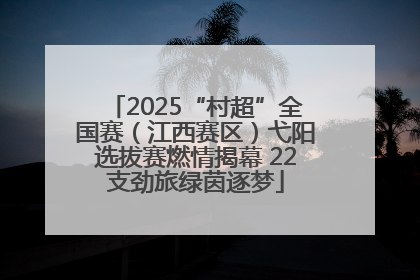 2025“村超”全国赛（江西赛区）弋阳选拔赛燃情揭幕 22支劲旅绿茵逐梦