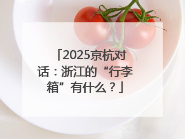 2025京杭对话：浙江的“行李箱”有什么？