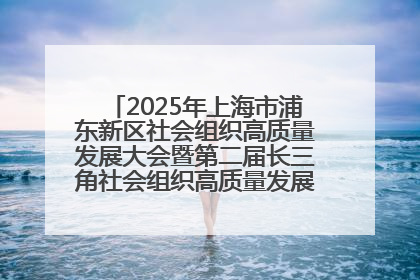 2025年上海市浦东新区社会组织高质量发展大会暨第二届长三角社会组织高质量发展峰会成功举办