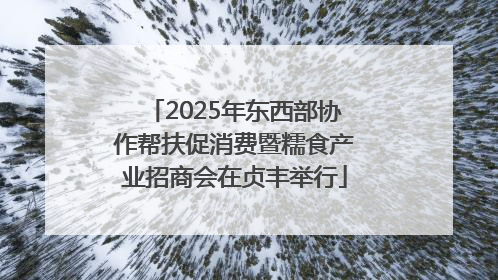 2025年东西部协作帮扶促消费暨糯食产业招商会在贞丰举行