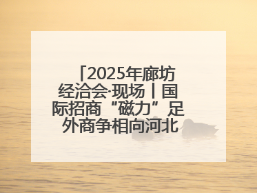 2025年廊坊经洽会·现场丨国际招商“磁力”足 外商争相向河北推介项目