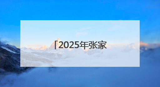 2025年张家界市直机关及驻张单位职工气排球运动会开幕
