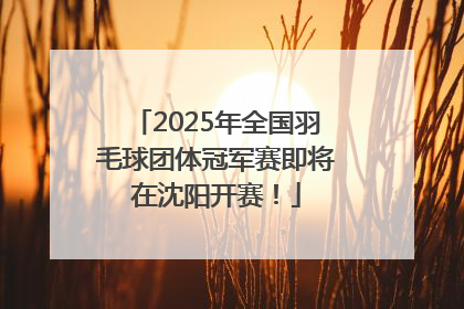 2025年全国羽毛球团体冠军赛即将在沈阳开赛！