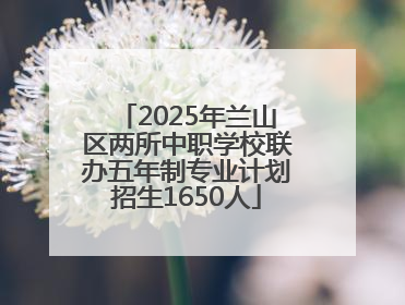 2025年兰山区两所中职学校联办五年制专业计划招生1650人
