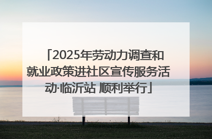 2025年劳动力调查和就业政策进社区宣传服务活动·临沂站 顺利举行