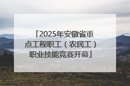 2025年安徽省重点工程职工（农民工）职业技能竞赛开幕