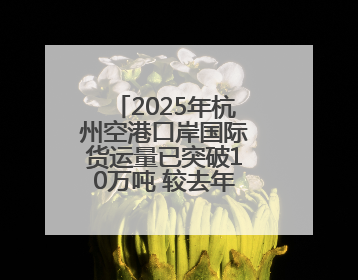 2025年杭州空港口岸国际货运量已突破10万吨 较去年同期提前一周