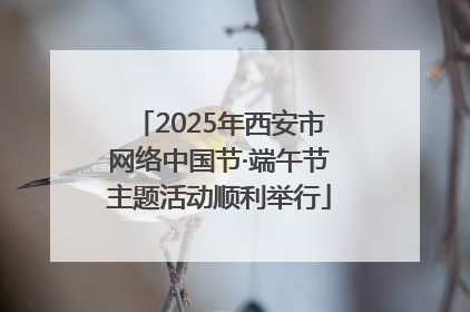 2025年西安市网络中国节·端午节主题活动顺利举行