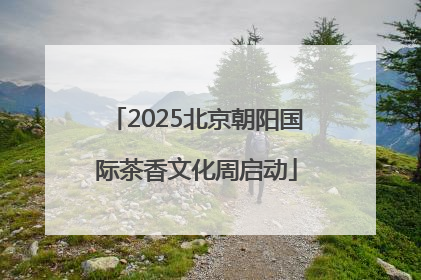 2025北京朝阳国际茶香文化周启动