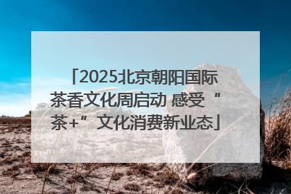 2025北京朝阳国际茶香文化周启动 感受“茶+”文化消费新业态