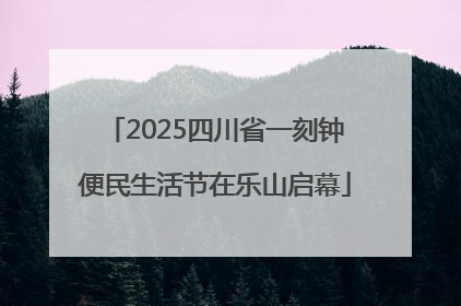 2025四川省一刻钟便民生活节在乐山启幕