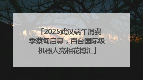2025武汉端午消费季蔡甸启幕，百台国际级机器人亮相花博汇