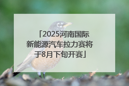 2025河南国际新能源汽车拉力赛将于8月下旬开赛