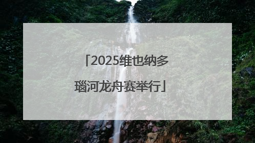 2025维也纳多瑙河龙舟赛举行