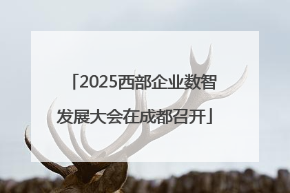 2025西部企业数智发展大会在成都召开
