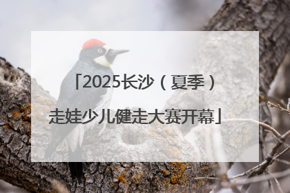 2025长沙（夏季）走娃少儿健走大赛开幕