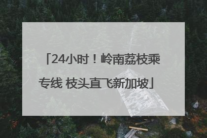 24小时！岭南荔枝乘专线 枝头直飞新加坡