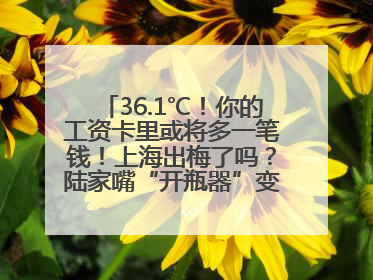 36.1℃！你的工资卡里或将多一笔钱！上海出梅了吗？陆家嘴“开瓶器”变“加湿器”？