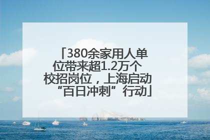 380余家用人单位带来超1.2万个校招岗位，上海启动“百日冲刺”行动