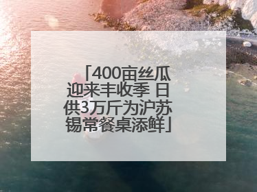 400亩丝瓜迎来丰收季 日供3万斤为沪苏锡常餐桌添鲜