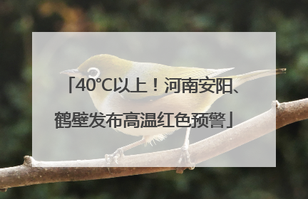 40℃以上！河南安阳、鹤壁发布高温红色预警