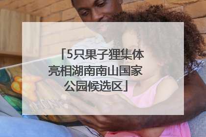 5只果子狸集体亮相湖南南山国家公园候选区