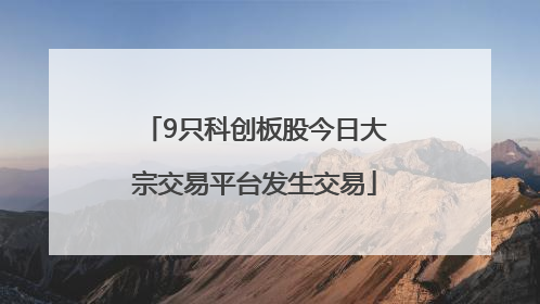 9只科创板股今日大宗交易平台发生交易