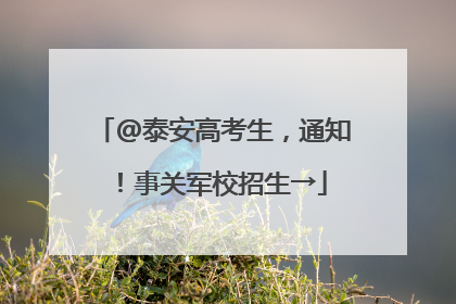 @泰安高考生，通知！事关军校招生→