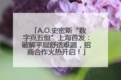 A.O.史密斯“数字真五恒”上海首发：破解平层舒适难题，招商合作火热开启！