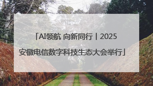 AI领航 向新同行丨2025安徽电信数字科技生态大会举行