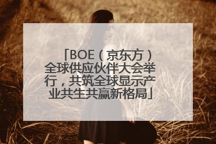 BOE（京东方）全球供应伙伴大会举行，共筑全球显示产业共生共赢新格局