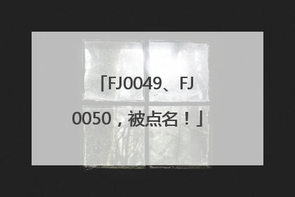 FJ0049、FJ0050，被点名！