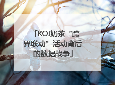 KOI奶茶“跨界联动”活动背后的数据战争