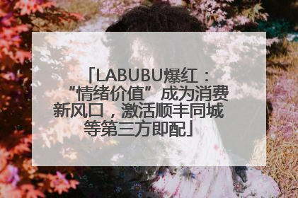 LABUBU爆红：“情绪价值”成为消费新风口，激活顺丰同城等第三方即配