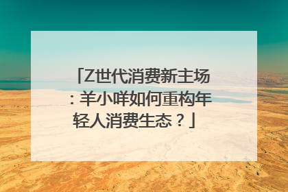 Z世代消费新主场：羊小咩如何重构年轻人消费生态？